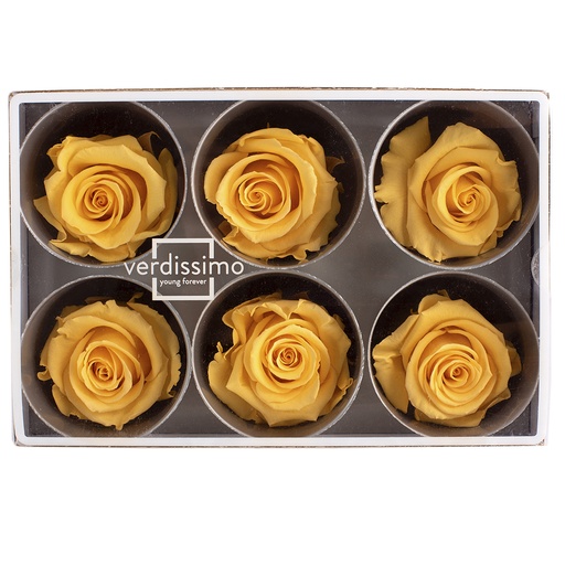 [RST/2350] RST/2350  Rose Heads Stand Preserved Yellow Safran 6 Heads in W-Box