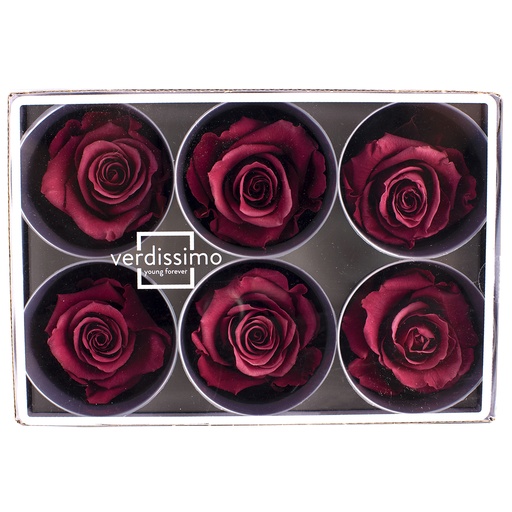 [RST/2240] RST/2240 Rose Köpfe Stehen stabilisierte Preiselbeere W-Box 6  knospen 