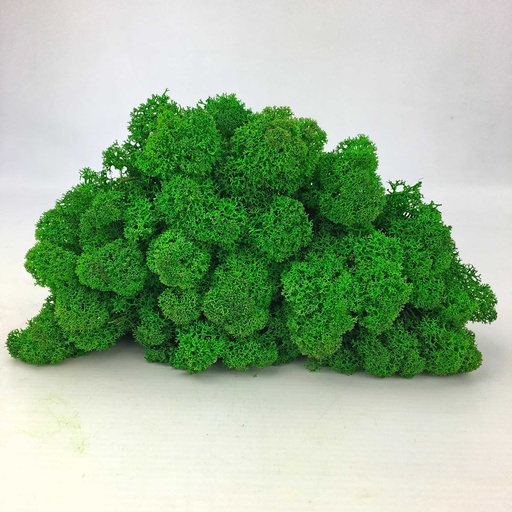[LIR/5042] LIR/5042 Lichen stabilisé Green Jade - Clean - Box 5 kg
