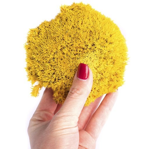 [MBS/1300] MBS/1300 Preserved Ball Moss - Box 0,25 kg - Yellow