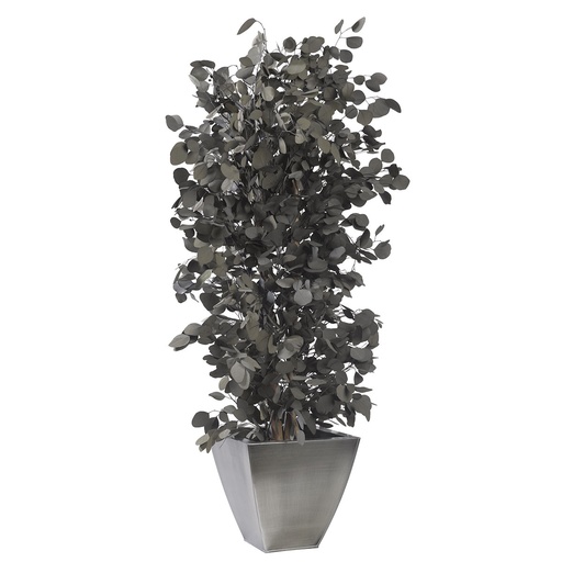 [PPO/0113] PPO/0113 Populus Eukalyptus buschig Stabilisierter Baum 130 cm