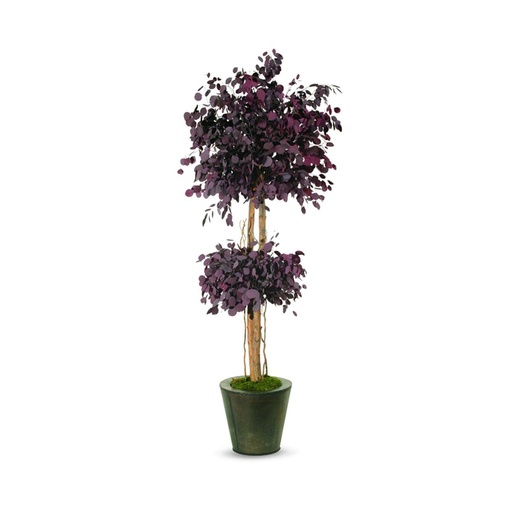 [CPO/0220] CPO/0220 Arbre champignon stabilisé Populus Rouge Populus 200 cm