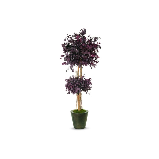 [CPO/0224] CPO/0224 Mushroom tree preserved Red Populus height 240 cm