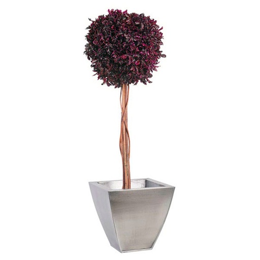 [BPI/0210] BPI/0210 Topiary Pittosporum Preserved Tree – Red, diam 30, 100 cm Height| Indoor Decorative Tree 