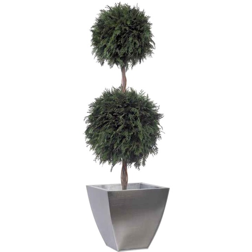[BTD/0114] BTD/0114 Thuya Two ball Tree 30 and 45 cm