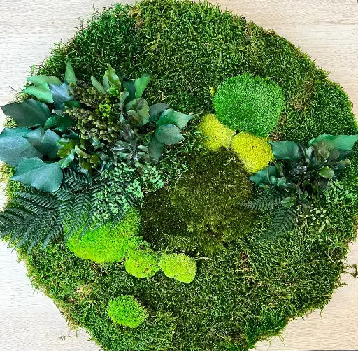 [WMIX/2100] WMIX/2100 Preserved Green Wall Mix of Preserved Flat Moss, Ball Moss & Plants  proportion 80 to 20 - 1 M2