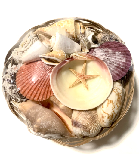 [SSH/0005] SSH/0005 Basket of decorative sea shells Small